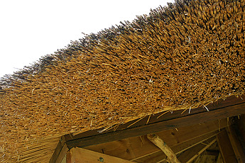 Domki pod strzechą